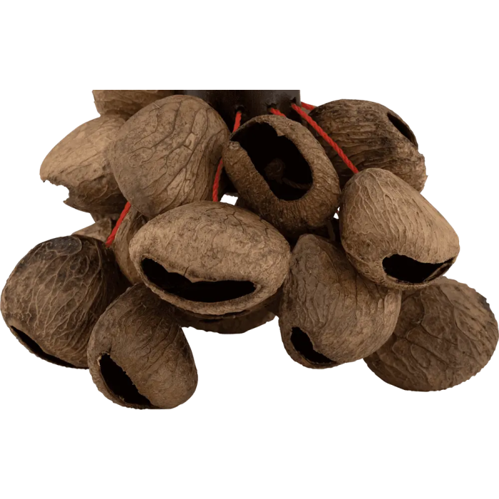 PEARL Shaker Asa Pearl 1