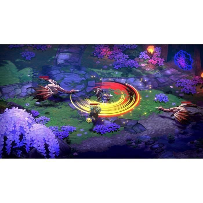 Bandai Namco Entertainment 3391892037234 - Towa y los Guardianes del Árbol Sagrado - Edición Limitada - Juego para PS5 4