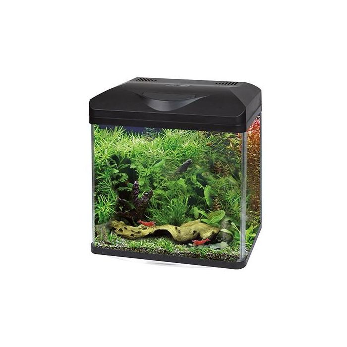 Nayeco Wave Laguna Led 50 - 50 L 48x27x44 cm Nayeco Wave Laguna Led 50 - 50 L 48x27x44 cm