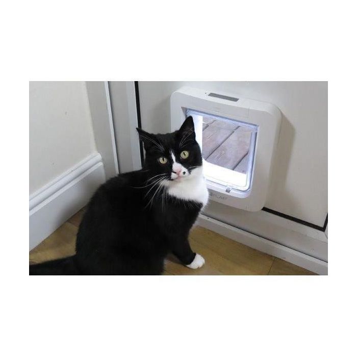 Sureflap Gatera Lector Microchip para Gatos Grandes y Perros Pequeños - Solapa Electrónica Anticolados con Memoria 32 Chips Blanca 5
