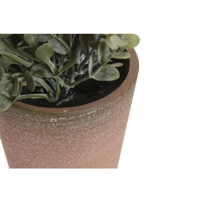 Planta  DKD Home Decor Verde Amarillo 15 x 18.5 x 15 cm (12 Unidades) 2 Planta  DKD Home Decor Verde Amarillo 15 x 18.5 x 15 cm (12 Unidades) 2