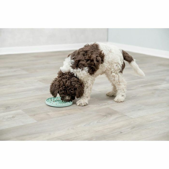 Comedero para Mascotas Trixie Junior Licking Verde Menta (1 Pieza) 2