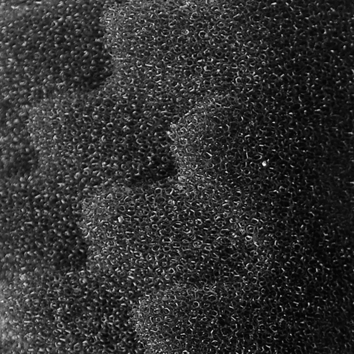 Fluval 306406 2 Bloques de Espuma Orgánica para Acuarios 2