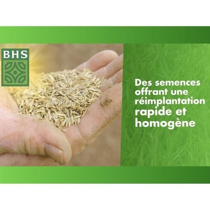Césped - BHS - Regenerador de césped 1 kg 5 Césped - BHS - Regenerador de césped 1 kg 5
