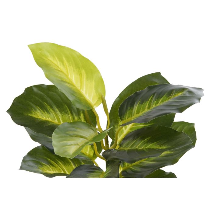 DKD Home Decor Planta Diefembaquia Verde y Negra de PVC y PP, Ancho 25cm, Largo 25cm, Alto 30cm 1