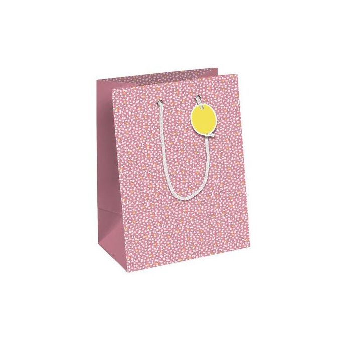 Bolsa De Papel Clairefontaine Excellia Mediana 21.5X10.2X25.3Cm Fairy Pack De 6