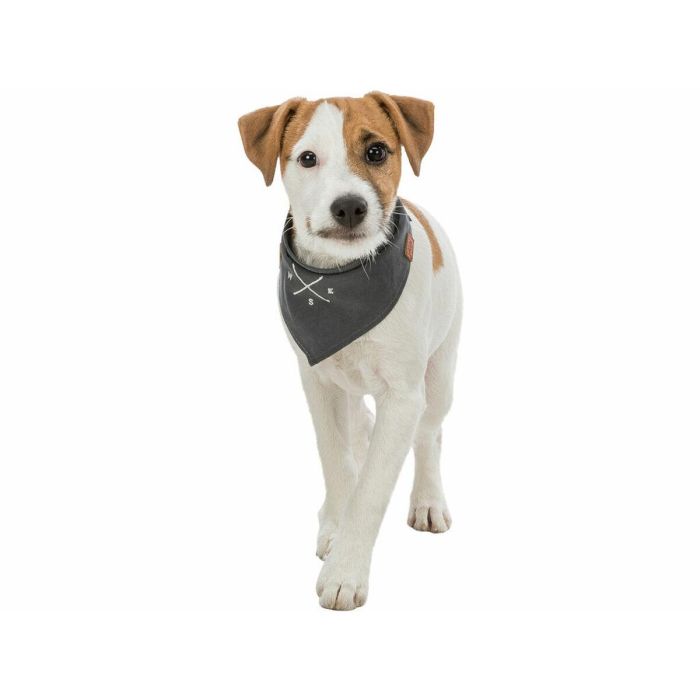 Pañuelo Trixie Perro 4 Pañuelo Trixie Perro 4
