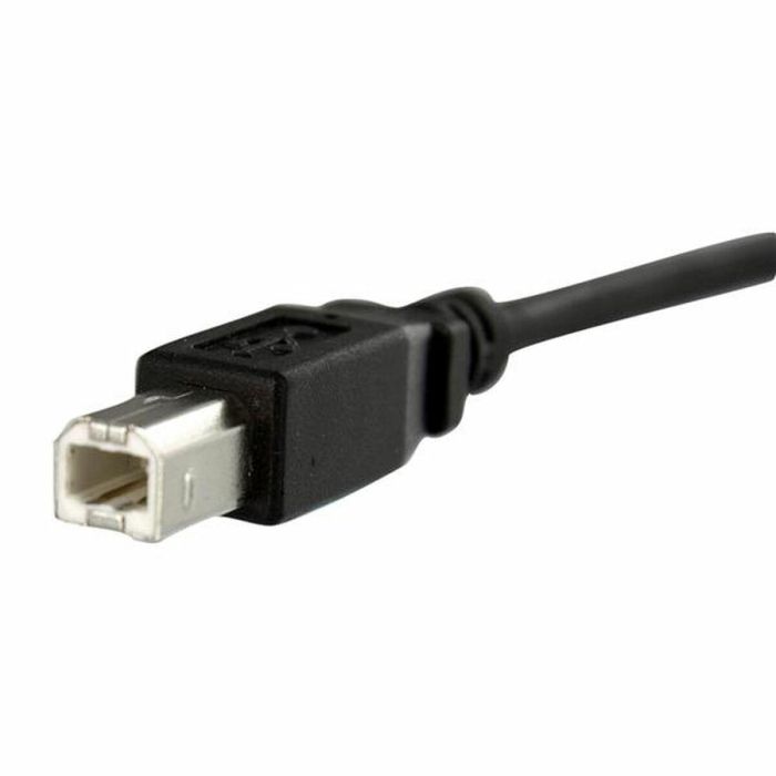Cable USB Startech USBPNLBFBM1 USB B Negro Cable USB Startech USBPNLBFBM1 USB B Negro
