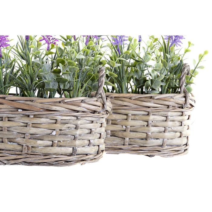 DKD Home Decor Planta Shabby Lila Rosa 19 x 12 x 22 cm (4 Unidades) 1