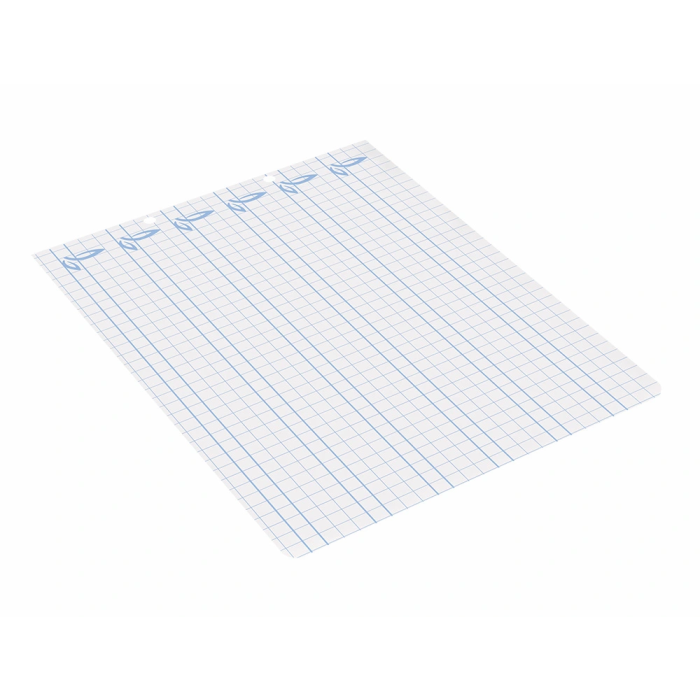 Liderpapel Recambio Cuarto Apaisado Pautaguía 100 Hojas 75gr Cuadriculado Pautado 6mm con Margen y 2 Taladros 6