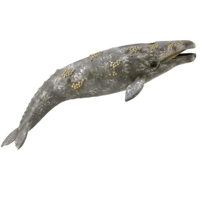 Ballena Gris - Xl - 888836 - Collecta Ballena Gris - Xl - 888836 - Collecta