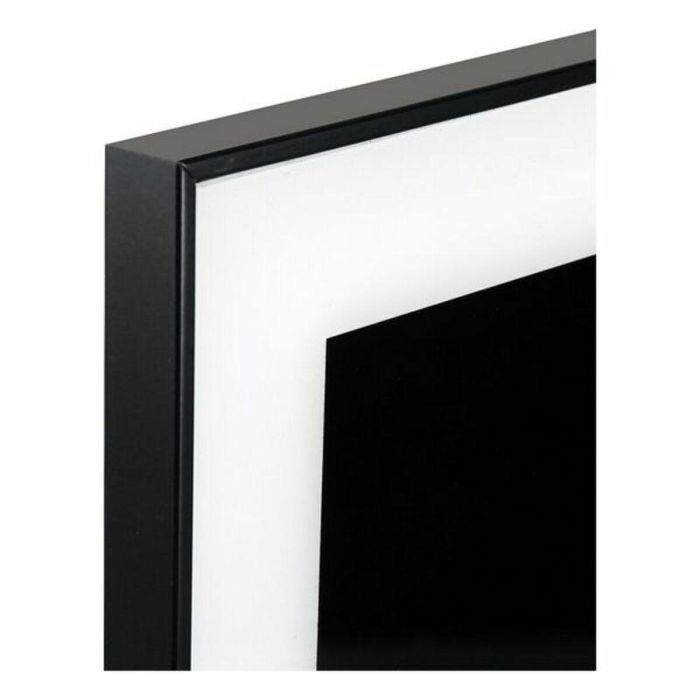 Cuadro Zebra Cristal (2 x 50 x 50 cm) 1 Cuadro Zebra Cristal (2 x 50 x 50 cm) 1