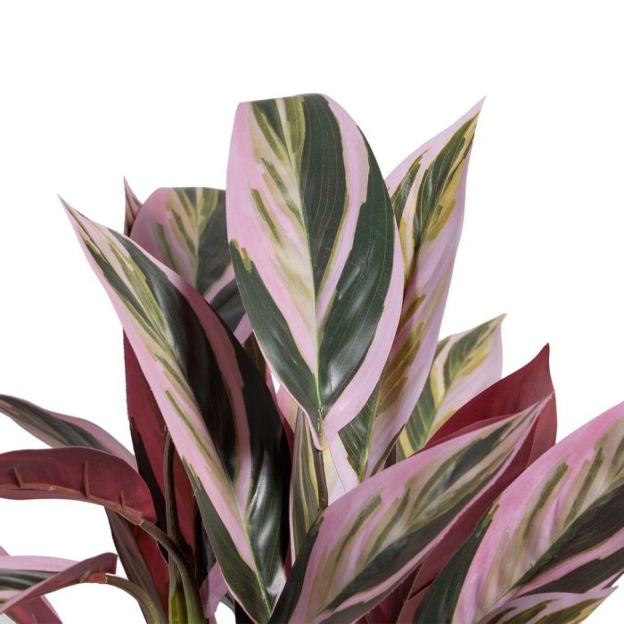 Planta Decorativa 44 x 39 x 48 cm Rosa Verde PVC 2