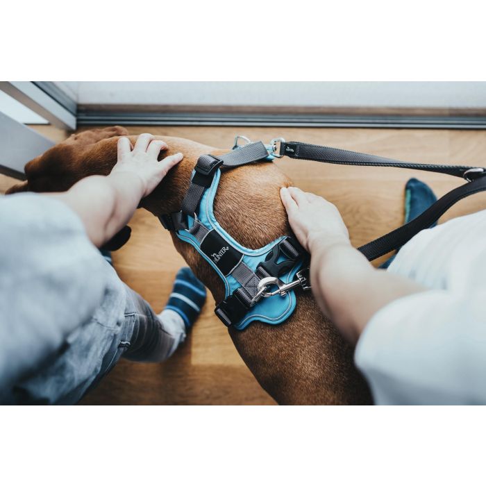 Arnés para Perro Hunter Divo 34-47 cm Azul Talla XS 5 Arnés para Perro Hunter Divo 34-47 cm Azul Talla XS 5