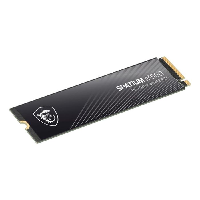 MSI SSD SPATIUM M560 PCIe 5.0 NVMe M.2 1TB S78-440L0F0-P83 - 13600 MB/s, M.2 2280 2