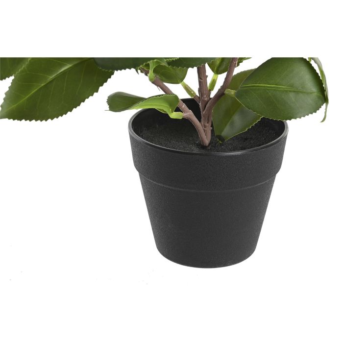 Planta Decorativa DKD Home Decor Verde PP PE Ficus (2 Unidades) (21 x 18 x 30 cm) 2 Planta Decorativa DKD Home Decor Verde PP PE Ficus (2 Unidades) (21 x 18 x 30 cm) 2