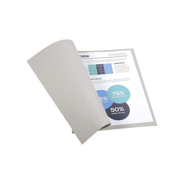 Subcarpeta Exacompta Forever 180 170G A4 Gris Paquete De 100
