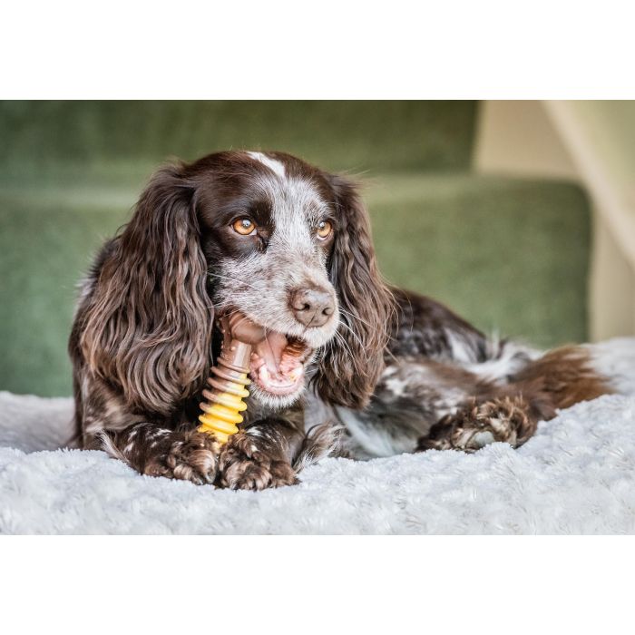 Nylabone Dura Chew Cheesesteack Queso M 2 Nylabone Dura Chew Cheesesteack Queso M 2