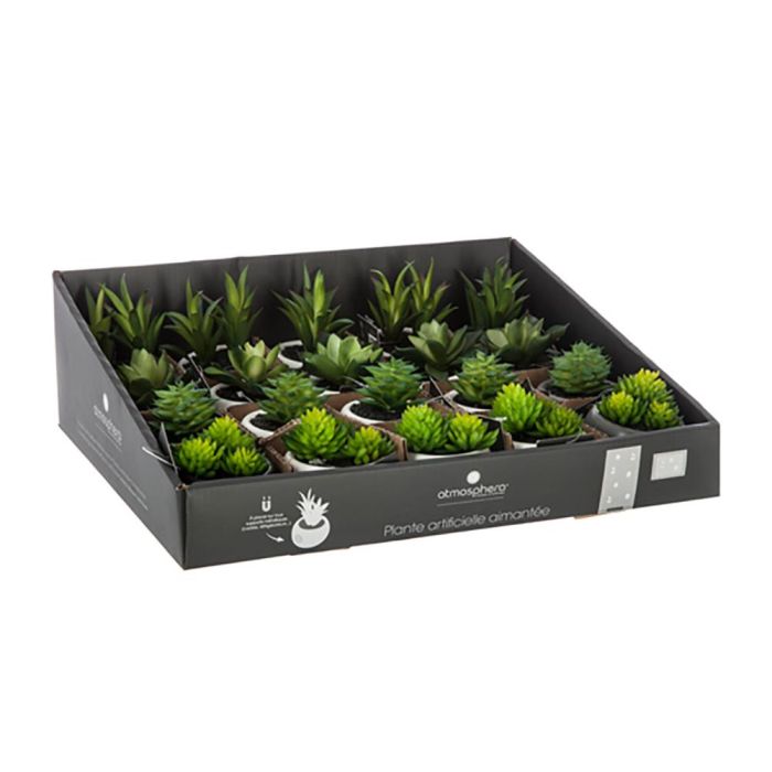 Atmosphera Mini plantas decorativas con iman modelos surtidos 6cm 1 Atmosphera Mini plantas decorativas con iman modelos surtidos 6cm 1