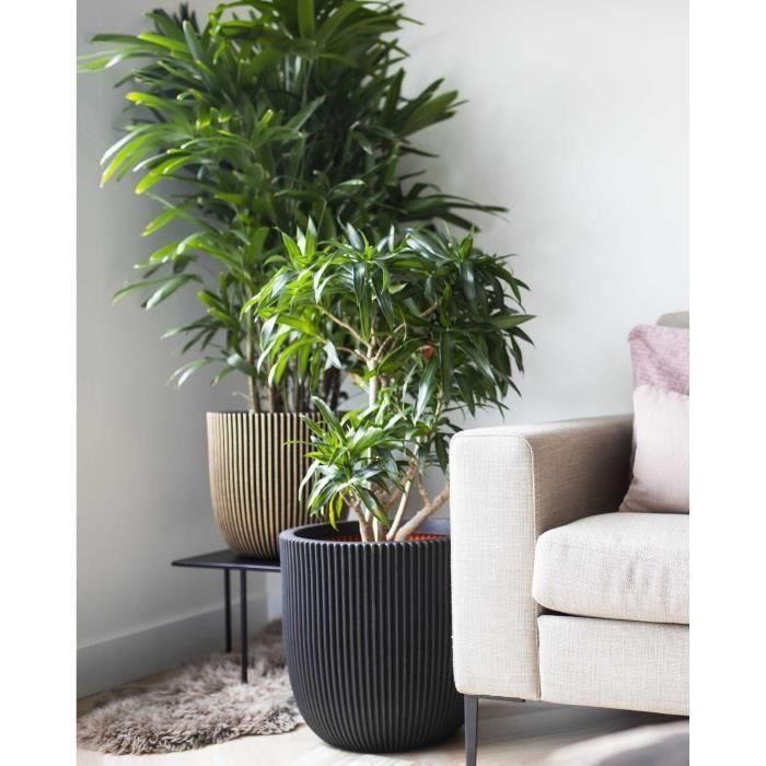 Capi Jardiniere Groove 43x41 cm negro y dorado 445487 1 Capi Jardiniere Groove 43x41 cm negro y dorado 445487 1
