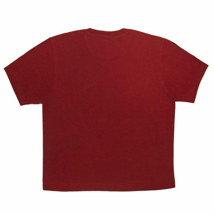 Camiseta de Manga Corta Hombre Champion Rojo 1