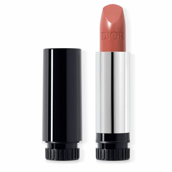 Dior Rouge Dior Satin Recargable 434