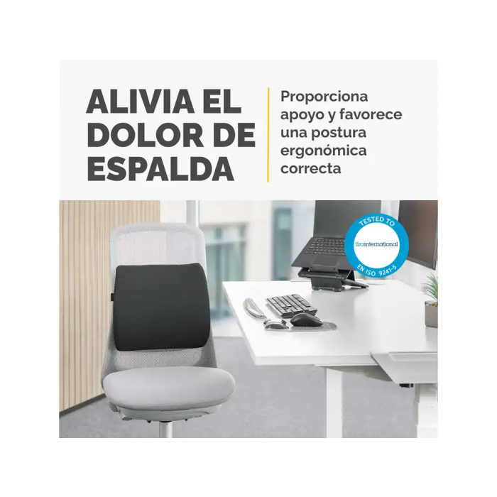 Fellowes 100119852 Respaldo Lumbar Acolchado Espuma Postural Ergonómico Negro 3