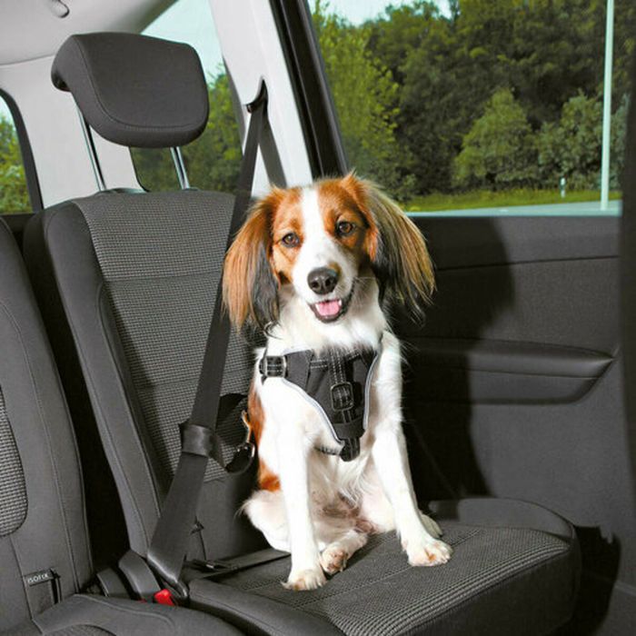 Arnés para Perro Trixie Comfort Negro S/M Coche 1