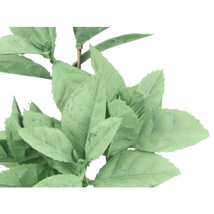 Maceta Planta Hoja Punta Mate Brillo Surtidos Col Ibergarden 16X35CM (12 Unidades) 3 Maceta Planta Hoja Punta Mate Brillo Surtidos Col Ibergarden 16X35CM (12 Unidades) 3