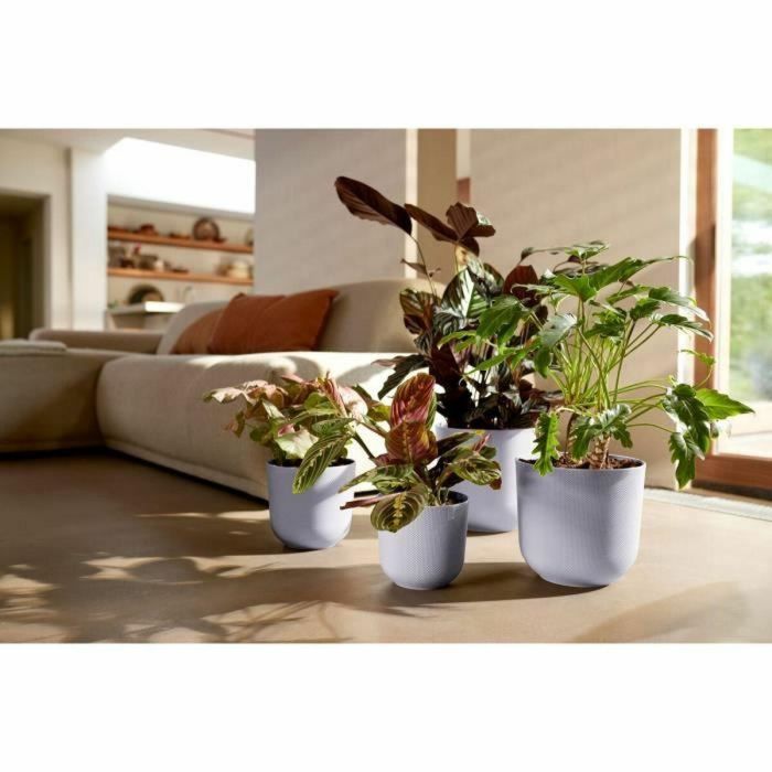 Elho ELH2943203540400 Maceta Jazz Redonda Morada 35x34.5x32 cm para Interior 100% reciclada 3 Elho ELH2943203540400 Maceta Jazz Redonda Morada 35x34.5x32 cm para Interior 100% reciclada 3
