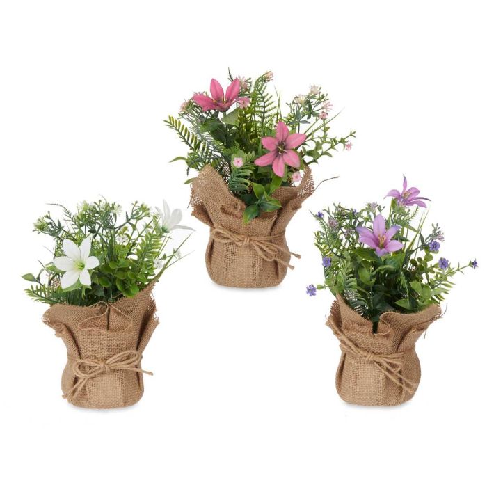 Planta Saco Flores Mediana Surtidos Colores Ibergarden 10X26CM (18 Unidades) 1 Planta Saco Flores Mediana Surtidos Colores Ibergarden 10X26CM (18 Unidades) 1
