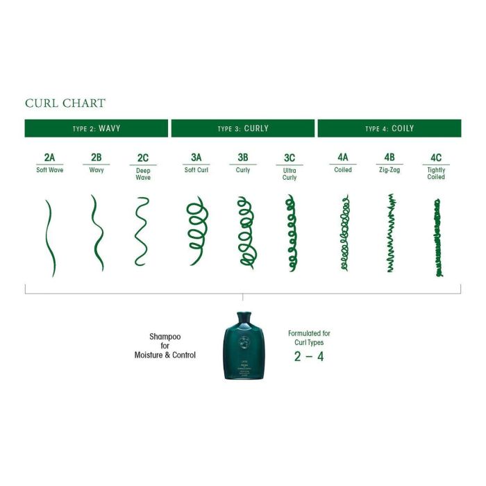 Champú Oribe 811913011713 250 ml 6 Champú Oribe 811913011713 250 ml 6