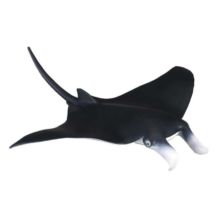 Collecta 88040 Manta Gigante Figura Réplica Animal Marino Escala M Pintada a Mano Alto Detalle +3 años Collecta 88040 Manta Gigante Figura Réplica Animal Marino Escala M Pintada a Mano Alto Detalle +3 años