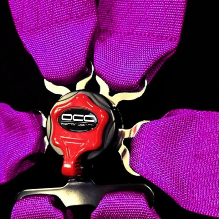 Arnés de 6 Puntos de Sujeción OCC Motorsport Rosa 8