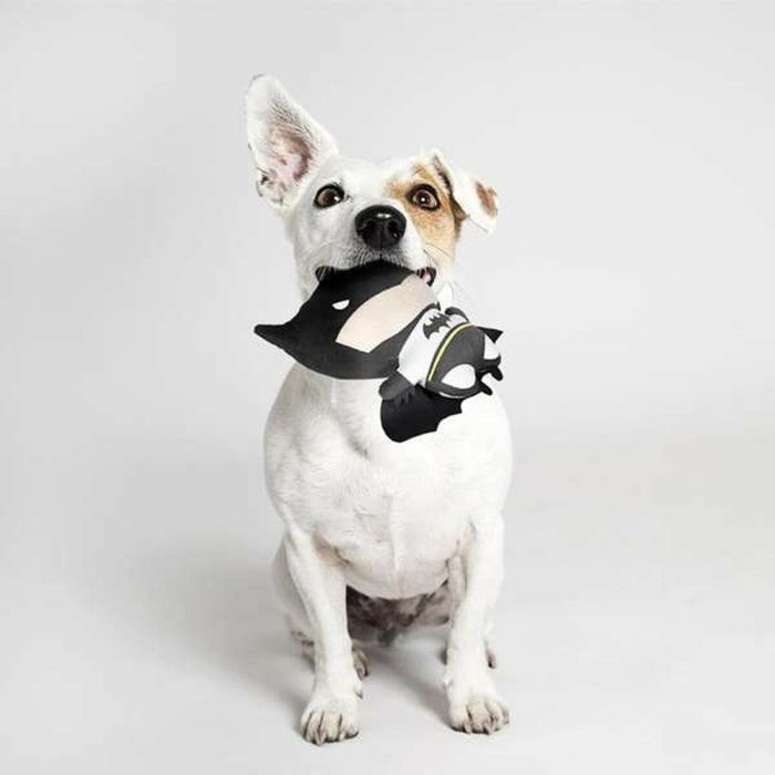 Peluche para perro batman 9.0 x 19.0 x 22.0 cm 2 Peluche para perro batman 9.0 x 19.0 x 22.0 cm 2