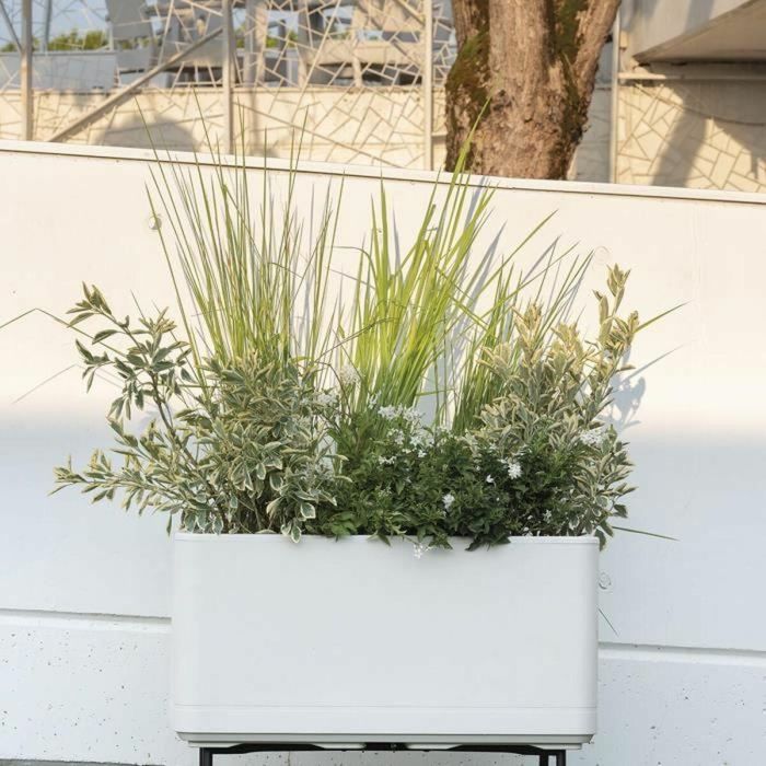 Deroma 9HP1QSZ Jardinera Muret Cosmo Perla con Reserva de Agua y Ruedas 78 cm 1 Deroma 9HP1QSZ Jardinera Muret Cosmo Perla con Reserva de Agua y Ruedas 78 cm 1