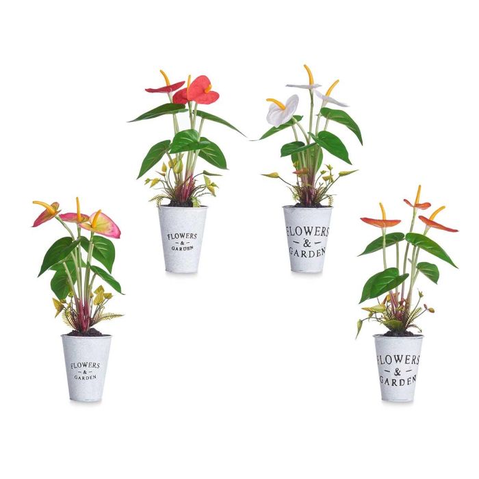 Planta Lirio Bote Metal Surtidos Ibergarden 15X34CM (12 Unidades) 1 Planta Lirio Bote Metal Surtidos Ibergarden 15X34CM (12 Unidades) 1
