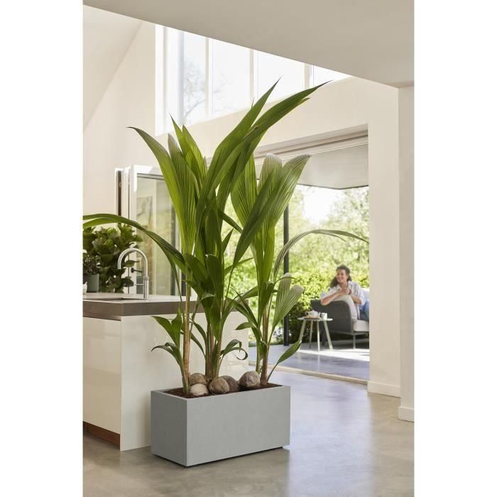 Jardinera Elho Vivo Next Long 60 - Gris - L 59 x B 30 x H 29 cm - interior/exterior - 100% reciclado 3