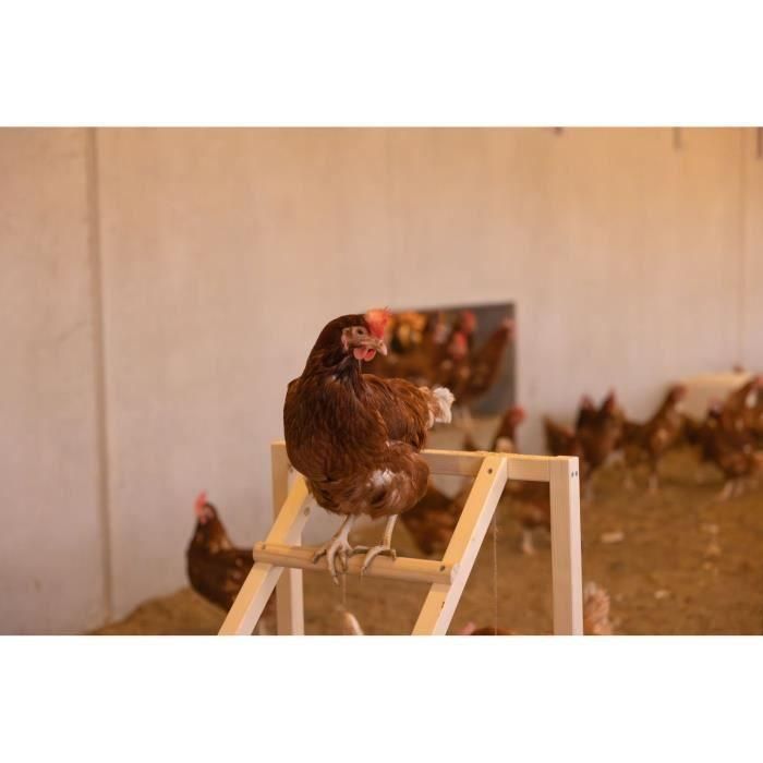 Torre trepadora para gallinas - KERBL - 85 x 55 x 76 cm - Con columpio - Escalera robusta 4 Torre trepadora para gallinas - KERBL - 85 x 55 x 76 cm - Con columpio - Escalera robusta 4