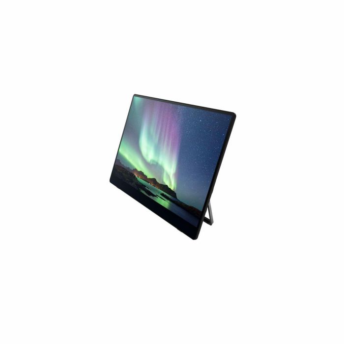 RICOH Monitor portatil 150 15,6" 5 RICOH Monitor portatil 150 15,6" 5