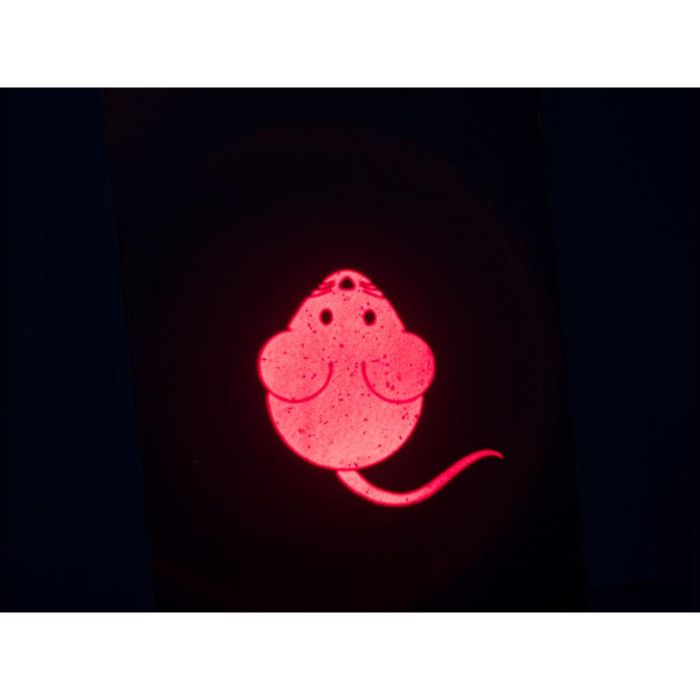 Puntero Láser Trixie 6