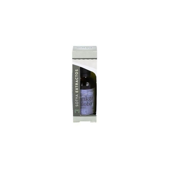 SOTYA Extracto de Ginkgo Biloba 50ml para Circulación Sanguínea Saludable - Suplemento Alimenticio