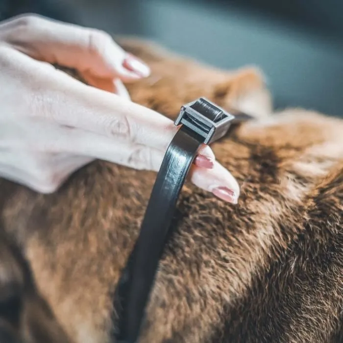 Vetocanis Collar Antipulgas y Garrapatas para Perros Pequeños hasta 10 kg - 4 Meses de Protección 4