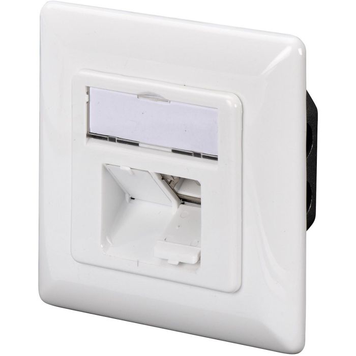 Digitus Toma de Red CAT 6A Clase EA, Apantallada, Empotrada, 2x RJ-45, 1 Módulo, Blanca
