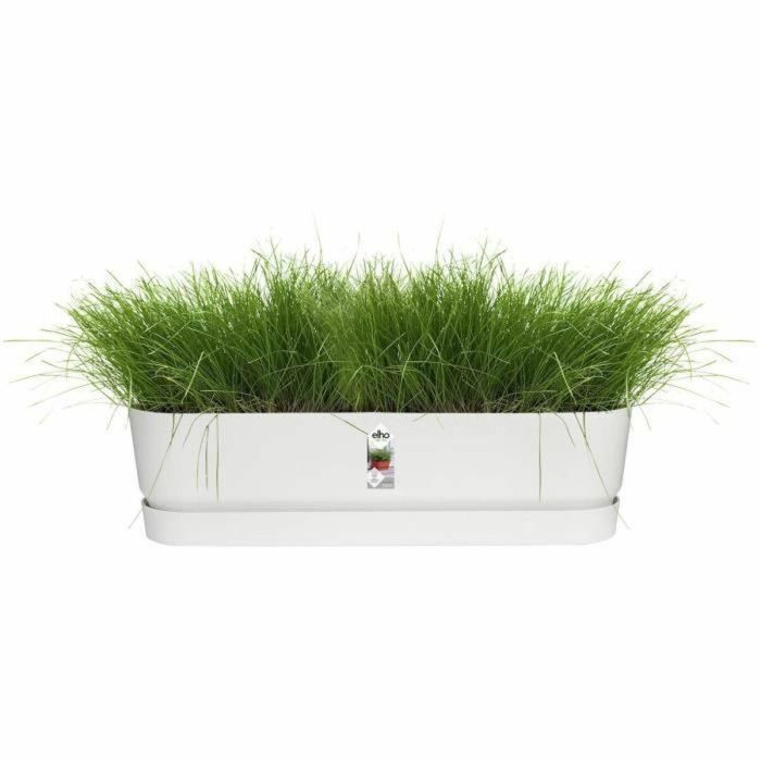 Plantera ovalada Greenville - Plastic - Ø70 - Green de hoja 4 Plantera ovalada Greenville - Plastic - Ø70 - Green de hoja 4