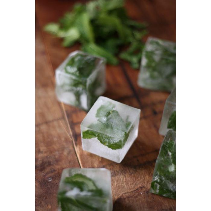 Quttin Cubitera Flexible de Silicona para 8 Cubitos 21.3x11.3x5 cm 7