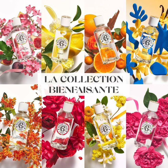Roger & Gallet Perfume Sólido Bienestar Rose 5 gr 1 Roger & Gallet Perfume Sólido Bienestar Rose 5 gr 1