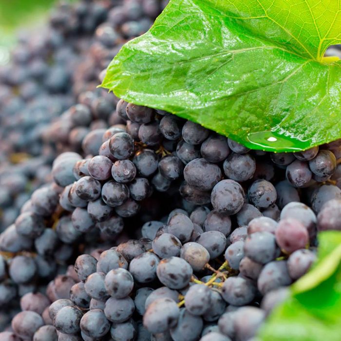 Kiehl'S Creme De Corps Nourishing Dry Body Oil 175 mL 2 Kiehl'S Creme De Corps Nourishing Dry Body Oil 175 mL 2