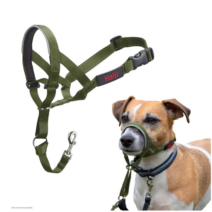 Bozal Company of Animals FOREST Verde 3 3