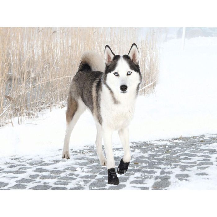 Botas Trixie Negro L/XL 2 Botas Trixie Negro L/XL 2